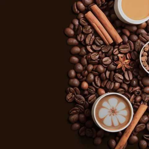 Outstanding experiences commence with the highest quality beans.